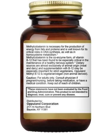 Methyl B-12 5000mcg Chewable with Folate - Vitamin B12 Methylcobalamin Sublingual Tablets - Supports Energy & Brain Function - Vegan Supplement - Cherry Flavor - 120 Count 120 Count (Pack of 1) - Buy Online on GoSupps.com