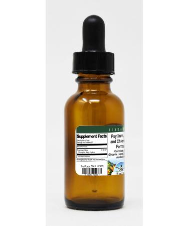 Terravita Psyllium Kelp & Chlorophyll Glycerite Liquid Extract - Chocolate Flavor (1 oz ZIN: 523499) | International Shipping Available - Buy Online on GoSupps.com