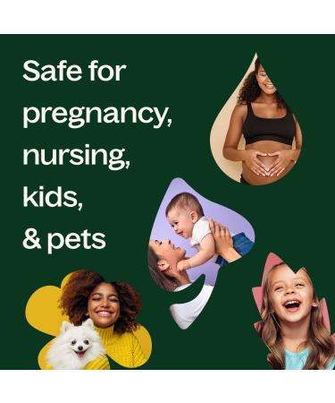 Plant Therapy Vetiver Organic Essential Oil 5 mL (1/6 oz) Pure Undiluted Therapeutic Grade Sandalwood 0.16 Fl Oz (Pack of 1) - Buy Online on GoSupps.com