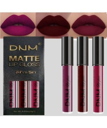 AMY'S DIARY Dark Red Purple Matte Plum Liquid Lipstick 3Pcs Sets 24-hour Lipstick Dark Deep Maroon Purple Brown Plum Red Lip Stain 24 Smudge Waterproof for Women Set11
