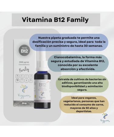 Zamdeh Laboratories SL Vitamine B12 Family Sublingual Natural Liquid Vegan 30 ml - Buy Online on GoSupps.com