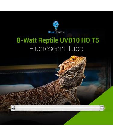 2 Pack 8W-Watt T5 HO Reptile Light Desert UVA UVB 10.0 Fluorescent Tube - 12" Terrarium Hood Light Suitable for Desert Reptile Lizards Bearded Dragons & Promotes Natural Behavior UVB Bulb 8W - 12 Inch UVB 10.0 - Buy Online on GoSupps.com