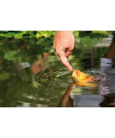 Al-Ko-Te Koi Feed Bundle: 3mm & 6mm Floating Pellets for All Seasons - 3kg Professional Mix for Healthy Koi - Buy Online on GoSupps.com