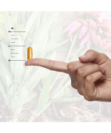 Eyebright Herb Capsules - 90 Count | Supports Eye Health & Vision | Nature's Answer - Buy Online on GoSupps.com