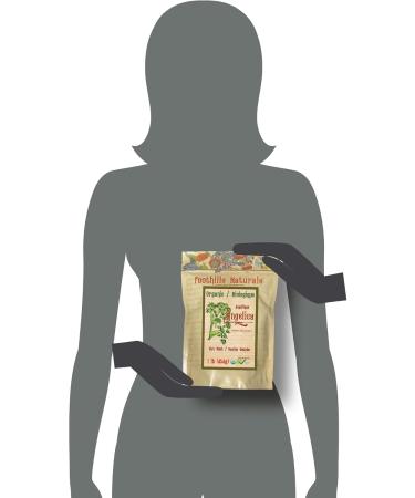 Foothills Naturals Angelica Root Organic - 1 lb (454g) Cut Root 200+Servings - Buy Online on GoSupps.com
