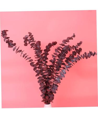 Cabilock Dried Eucalyptus Stems 10pcs Christmas Flower Arrangement Real Eucalyptus Leaves As Shown Size 3 - Buy Online on GoSupps.com