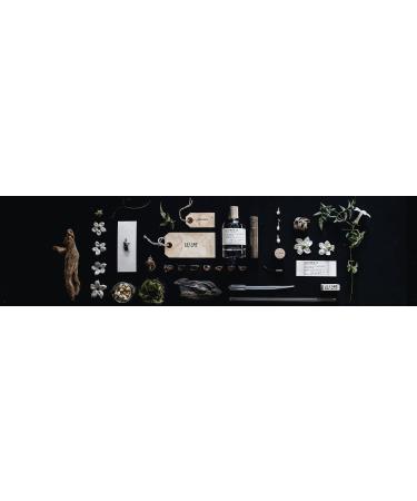Le Labo Another 13 Eau De Parfum Natural Spray 50ml 1.7 fluid ounces Amber Wood 1.7 Fl Oz (Pack of 1) - Buy Online on GoSupps.com
