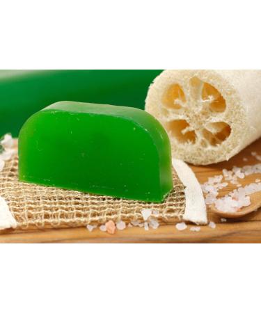  Ancient Wisdom Ancient Wisdom Eucalyptus Solid Argan Bread Shampoo - Buy Online on GoSupps.com