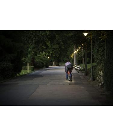 Sigma Sport Nugget II Fahrradbeleuchtung | Rot | One Size - Helle & Zuverl ssige Fahrradlichter f r Internationale Lieferung - Buy Online on GoSupps.com