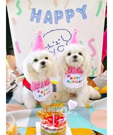 Cute Cat & Dog Birthday Party Supplies - Pink Birthday Bandana & Hat Set - Buy Online on GoSupps.com