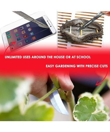 Buy Disposable Scalpel Blades #10 - Pack of 100 | High Carbon Steel Sterile Surgical Blades for Dermaplaning - Buy Online on GoSupps.com