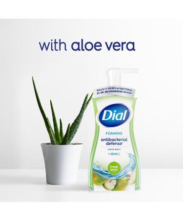 Dial Antibacterial Defense Foaming Hand Soap Fresh Pear Scent 10 Fl. Oz. 8/Carton (17000347219) - Buy Online on GoSupps.com