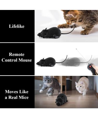 Aerbee Remote Control Rat Toy Electronic RC Mouse Toy Emulation Flocking Rat Toy Interactive Cat Toys Pet Toys Funny Wireless Chasing Prank Joke Scary Trick Rats Animal for Pets Novelty Gift - Buy Online on GoSupps.com