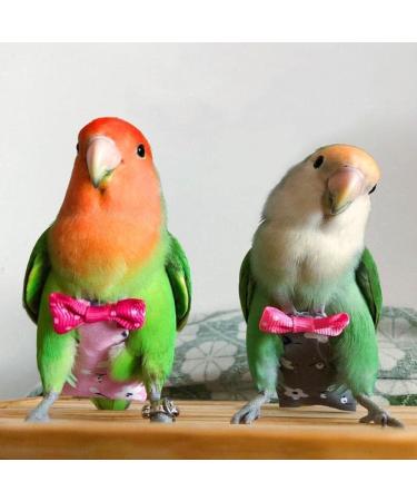 Buy Colorful Parrot Diapers - Washable Flight Clothes for Birds | Cute Fruit & Flower Patterns for Pigeons & Pets - Buy Online on GoSupps.com