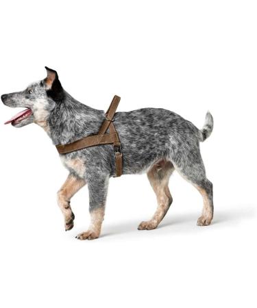HUNTER Norwegian Harness for Hunting | Adjustable 58-79 cm | Brown - Premium Quality & Comfort - Buy Online on GoSupps.com