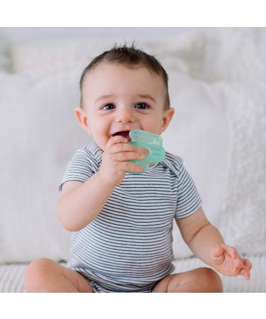 Itzy Ritzy Cutie Coolers Cacti Teethers - Water-Filled Soothing Toys for 3+ Months - Buy Online on GoSupps.com