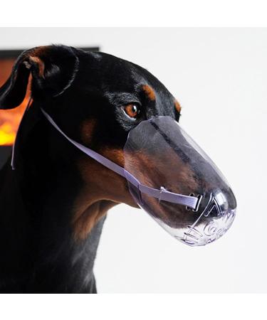 Shop Anti-Bite Cat Muzzle - Safe Bite-Proof Pet Accessories for International Shipping - Buy Online on GoSupps.com