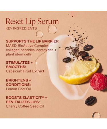 Reset Hydrating Line-Filling Lip Serum Treatment - Moisturizing Care for Smooth Plump Soft Lips with Line-Softening Support Daily Hydration Formula Nourishing - Buy Online on GoSupps.com
