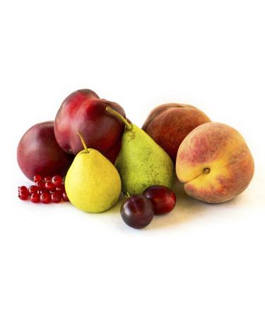 Seasonal Fruit Bundle - 4 Varieties | Fresh and Organic Selection - Buy Online on GoSupps.com