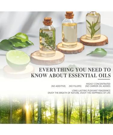 Lemongrass Essential Oil 100ml/3.38 Fl.Oz 100% Pure Care Grade for Nail Hair & Skin Care Massage Diffusers Humidifier Moisturizing for Men & Women Girls Gift Christmas Gift - Buy Online on GoSupps.com