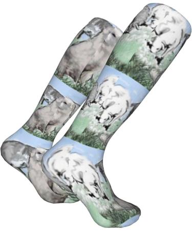 Great Pyrenees Compression Socks for Men & Women - 15-20 mmHg Support for Running & Cycling - Buy Online on GoSupps.com