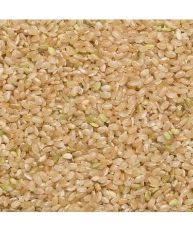 Wholefood Earth Organic Short Grain Brown Rice 500g - GMO Free, Vegan, Fibre-Rich, Certified Organic - Buy Online on GoSupps.com