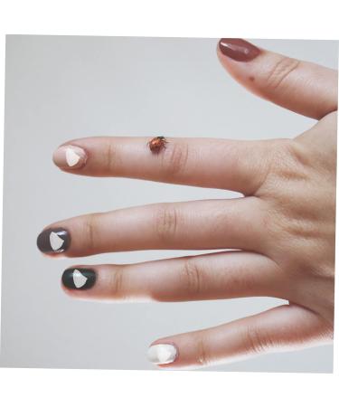 WOONEKY 1 Glass Chip Diy Crafts Colored Glass Epoxy Filling Metal Filler Nail Tech Accessories Joint Holders Bulk Crushed Crystal Chips Nail Art Stone Nail Gem Nail Stickers Manicure 0.5X0.3cm transparent - Buy Online on GoSupps.com