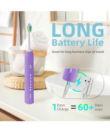 7AM2M Sonic Electric Toothbrush for Adults and Kids One Charge for 90 Days with 6 Brush Heads 5 Modes with 2 Minutes Build in Smart Timer Roman Column Handle Design(Purple) Purple No Travel Case - Buy Online on GoSupps.com