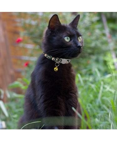 Tagme Personalized Cat Collars - Adjustable Safety Closure Black 2-Pack with Name & Phone Number (18-28 cm) - Buy Online on GoSupps.com