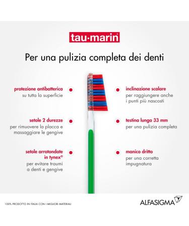 Buy Tau-marin Scalare 33 Hard Bristle Toothbrush with Antibacterial Properties - 1 Piece | International Shipping Available - Buy Online on GoSupps.com