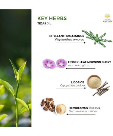 Kerala Ayurveda Tejas Oil - Cooling Herbal Massage Body Oil | Nourishing & Hydrating | Mind Calming | 6.8 Fl Oz | Balance Pitta Dosha - Buy Online on GoSupps.com
