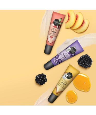 Gentle Protection Vitamin Booster Lip Balm SPF 15 - Nourishing Vitamin E & Peach Extracts 10ml | Buy Online for Worldwide Shipping - Buy Online on GoSupps.com