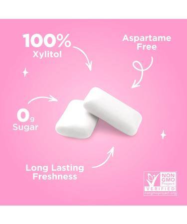 PUR GUM Sugar-Free Chewing Gum | 100% Xylitol | Vegan Aspartame-Free Gluten-Free & Diabetic-Friendly | Natural Bubblegum Flavor | 6-Pack (55 Pieces Each) - Buy Online on GoSupps.com