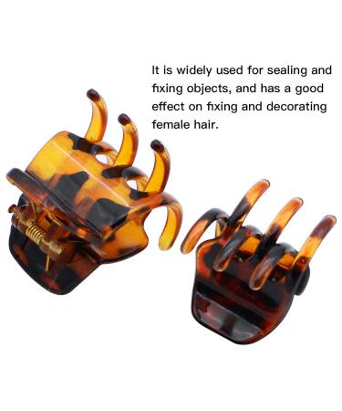 Buy Txer Success 12-Piece Hair Clip Set - Plastic Hair Claw Clips in 2 Sizes for Women & Girls - Stylish Brown Hair Accessories - Buy Online on GoSupps.com