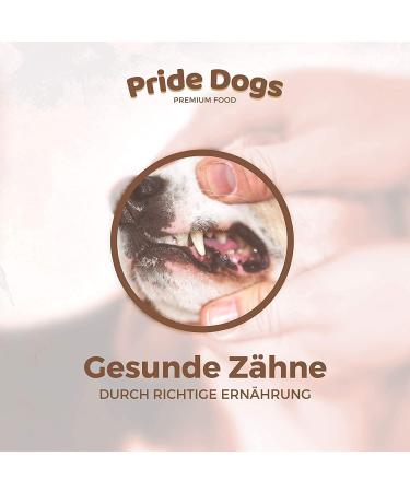 Prideedogs Beef Head Skin Plates 1000g | Premium Dog Chew Snacks | 100% German Beef | Odor-Neutral Packaging | International Shipping - Buy Online on GoSupps.com