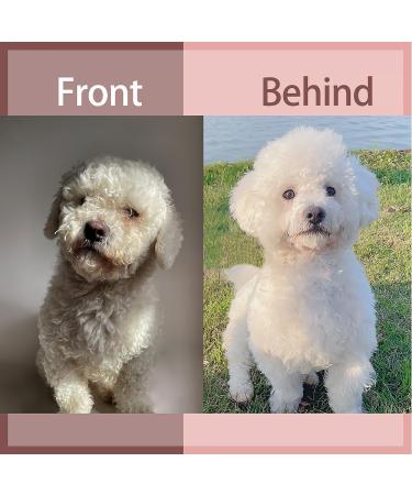 Self-Cleaning Cat Brush | Long & Short Hair Pet Brush for Loose Fur & Dirt | Green Color - Buy Online on GoSupps.com