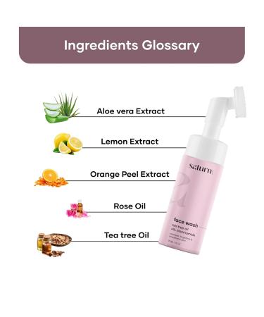 4% Niacinamide Foaming Face Wash for Acne Prone Oily Skin - With Aloe Vera Tea Tree Vitamin C & Rose Petals | 120ml - Buy Online on GoSupps.com