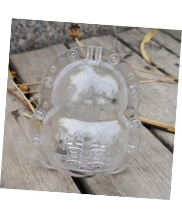 SUPVOX Novel Shaping Fruits Shaping Tool Fruit Fruit Mould Fruit Accessory Stereotypes - Buy Online on GoSupps.com
