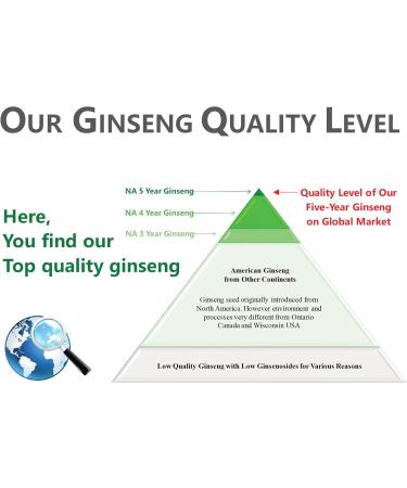 Vigorwell Premium 5-Year Large American Ginseng Slice (80G/2.8OZ X 2 Bottles)-Proudly from Canadian Ginseng Farm - Buy Online on GoSupps.com