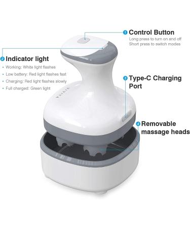 VIVIYA Electric Scalp Massager | Portable Rechargeable Head Massager with 8 Massage Claws | Waterproof Handheld Hair Scalp Scratcher for Full-Body Massage, Hair Growth, Stress Relief - Buy Online on GoSupps.com