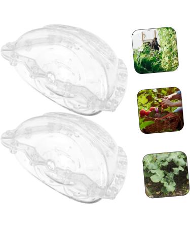 OFFSCH 2pcs Ingot Shaped Mold Vegetables Watermelon Growing Mold Vegetable Growing Molds Accessories Gourd - Buy Online on GoSupps.com