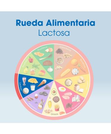 Intoleran Lactase 2500 Enzymes Digestives Pack de 6 Comprim s | Enzyme lactase pour aider la digestion du lactose et l'intol rance au lactose | Petite tablette | Pur et v g talien | - Buy Online on GoSupps.com