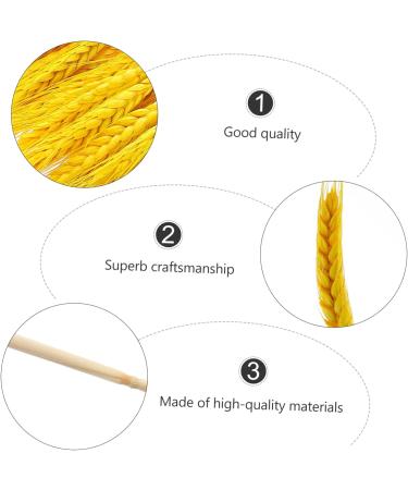 TOPBATHY Wheat Ear 100pcs Dried Wheat Ears Bouquet Props Dried Flowers. Desktop Wheat Ears Decor Yellow 52X10CM - Buy Online on GoSupps.com