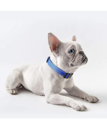 Heele Reflective Dog Collar for Small Dogs - Soft Neoprene Padded Nylon XS 20-30cm Royal Blue - Perfect for Puppies - 1-Pack - Buy Online on GoSupps.com