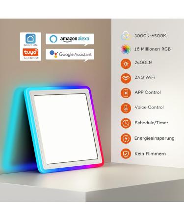 Blnan Smart RGB LED Ceiling Lamp 24W - Dimmable WiFi Control Alexa & Google Home Compatible | Perfect for Living Room Bedroom & Dining Room (32cm) - Buy Online on GoSupps.com