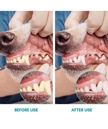 Pack of 4 Finger Toothbrushes for Dogs - Dental Care for Small Medium & Large Breeds - Buy Online on GoSupps.com