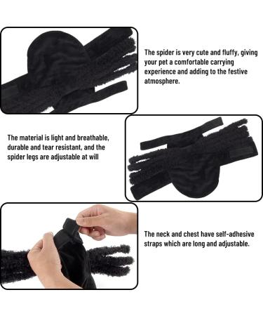 Spooky Cat & Dog Halloween Costumes - Zoneyan Bat Wings Spider Wings & More! - Buy Online on GoSupps.com