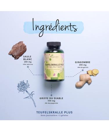 Harpagophytum Plus Vegavero | With Devil's Claw Ginger & White Willow | No Additives | Joint Bread | With Harpagosides Gingerols & Salicin | 120 Capsules | VEGAN - Buy Online on GoSupps.com