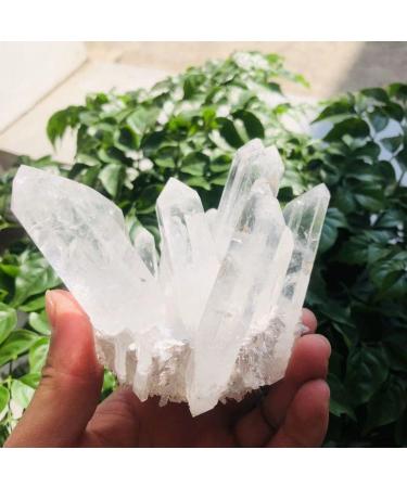 Room Decoration 350g-900g Natural Clear Quartz Stone White Crystal Cluster 1pc (Color : 1pc 710g-760g) - Buy Online on GoSupps.com