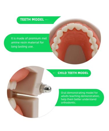 Ultechnovo Tooth Prosthesis Model Toys - Fun and Educational Dental Care for Kids | Perfect for Brushing Practice - Buy Online on GoSupps.com